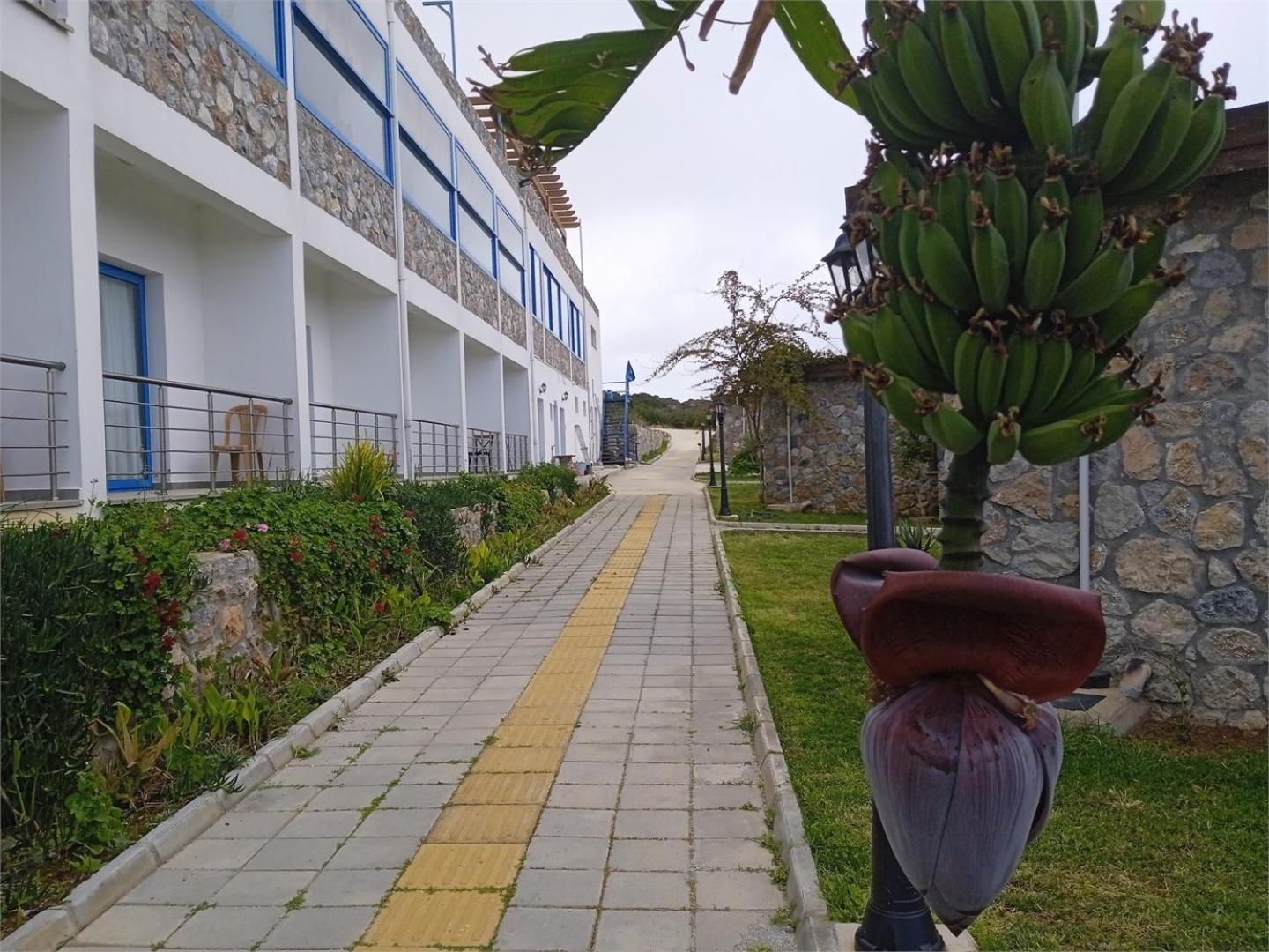 Ardic Agaci Holiday Village Αμμόχωστος Εξωτερικό φωτογραφία