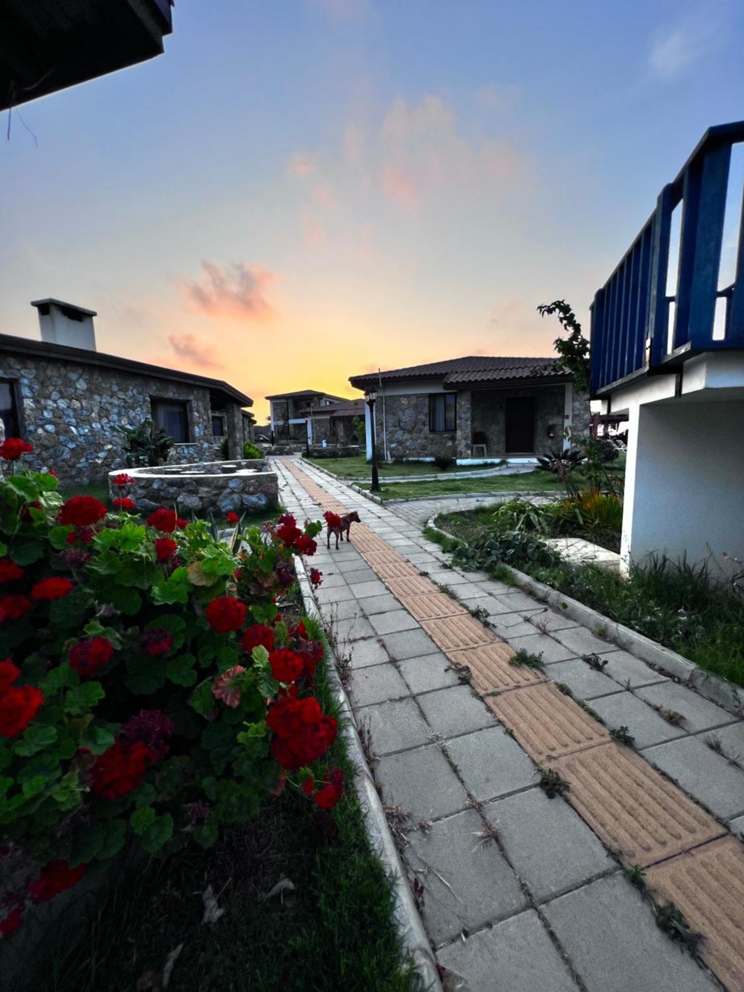 Ardic Agaci Holiday Village Αμμόχωστος Εξωτερικό φωτογραφία