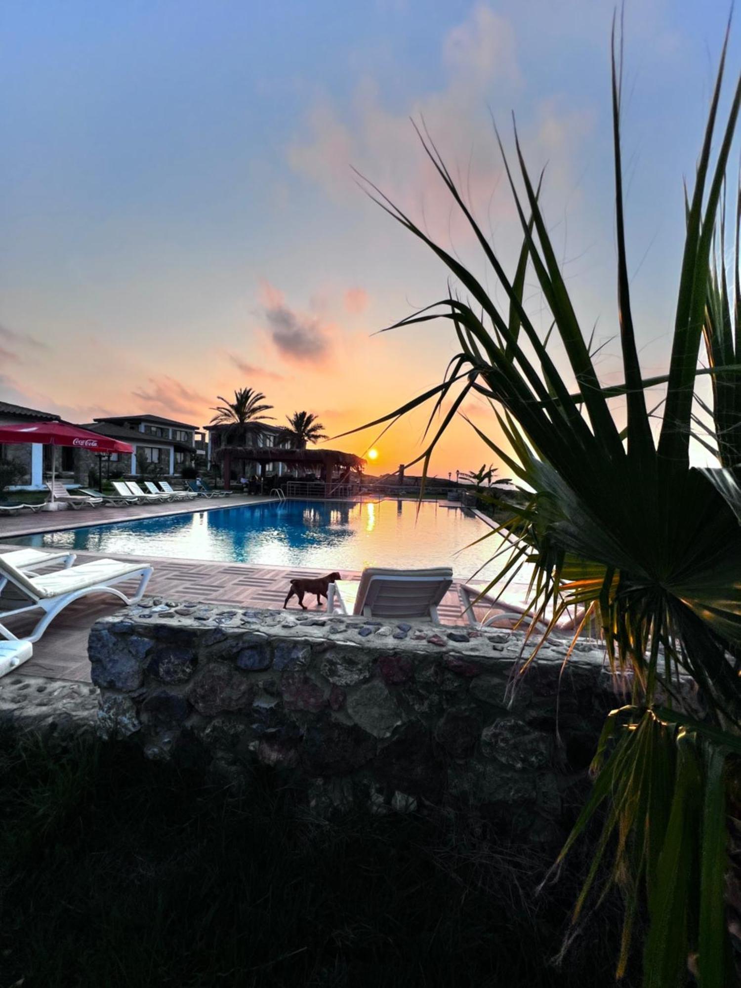 Ardic Agaci Holiday Village Αμμόχωστος Εξωτερικό φωτογραφία